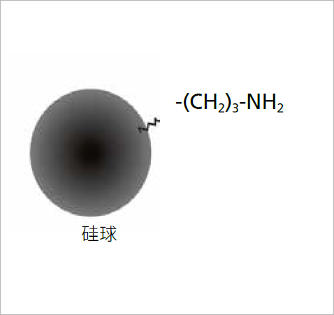 SHIMSEN Styra NH₂